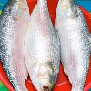 ৩ পিস মাছ ৬ কেজি → ৪,০০০ টাকা